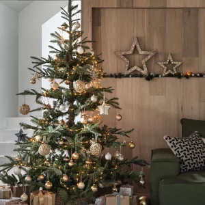Christmas Packages